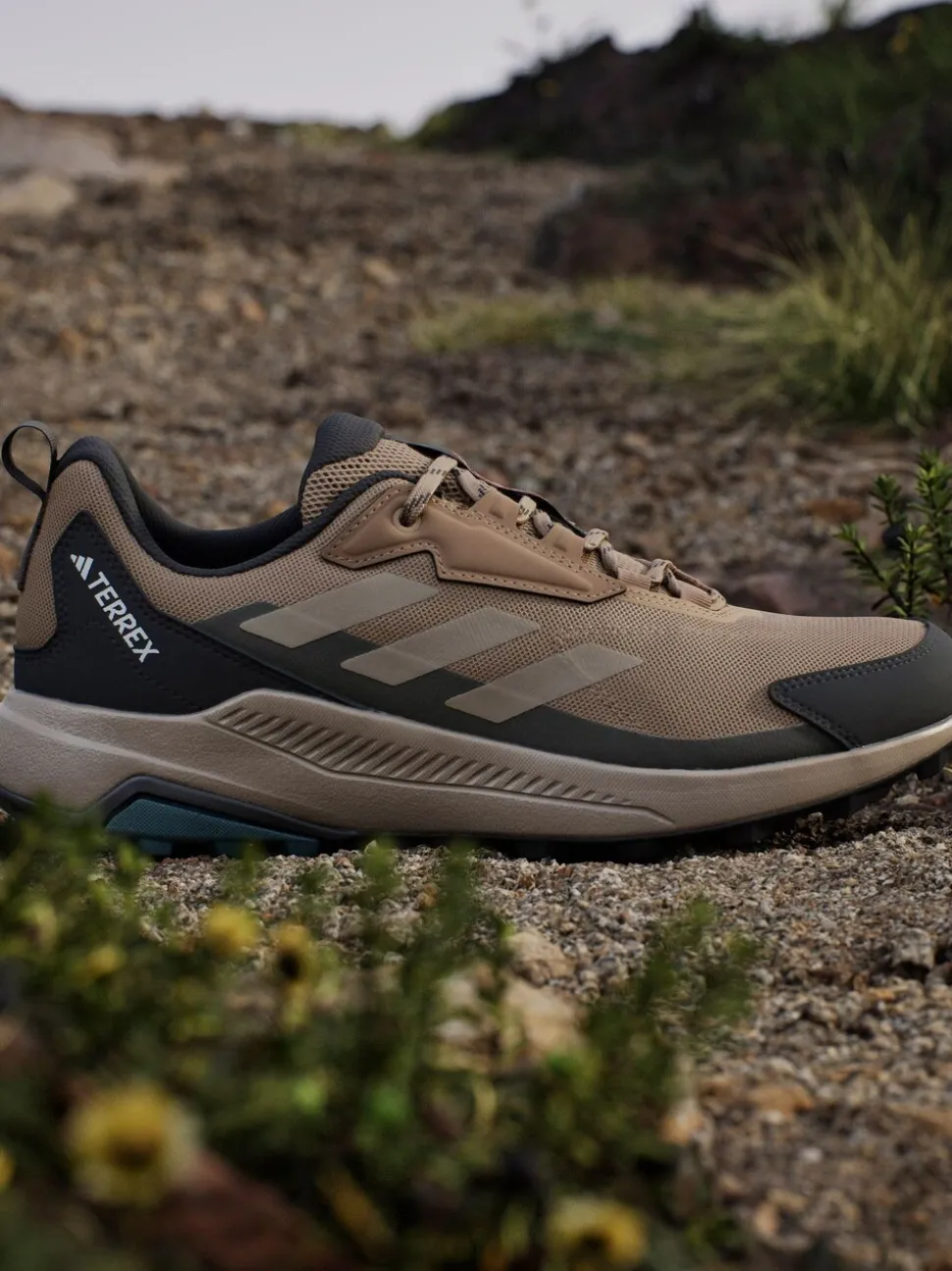 adidas Terrex Brown Anylander Hiking Shoes