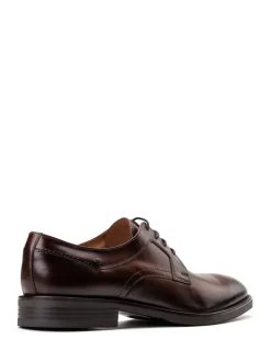 Base London Brown Sleeve Lace Up Shoe