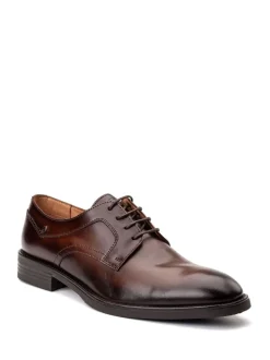 Base London Brown Sleeve Lace Up Shoe