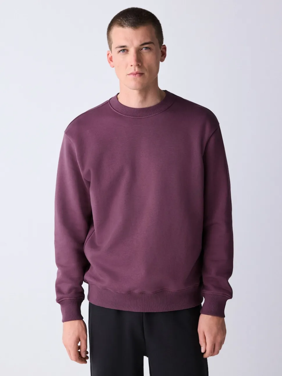 Berry Red Regular Fit Heavyweight Cotton Rich Crew Neck Sweatshirt