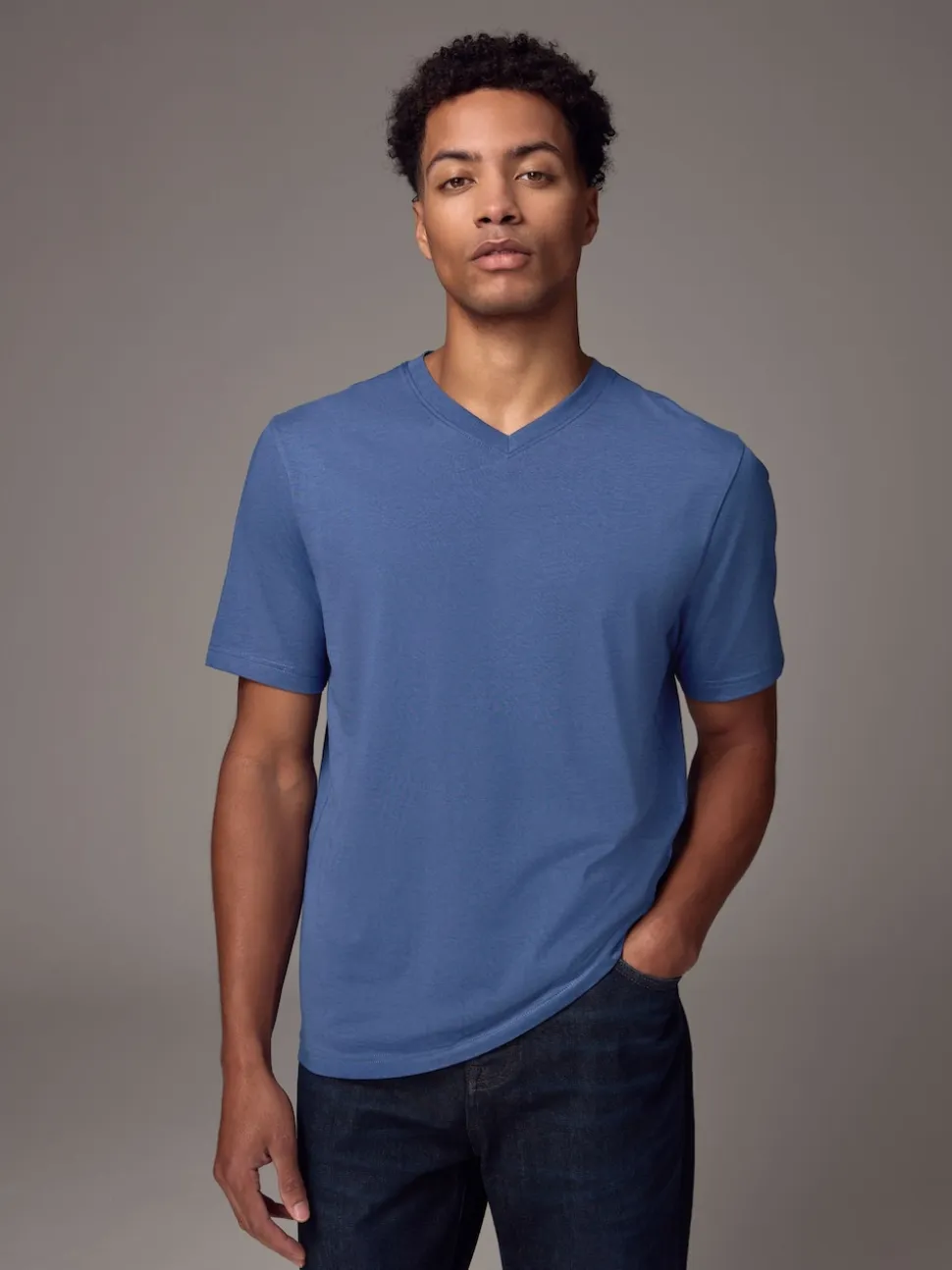 Blue Regular Fit Essential V-Neck T-Shirt