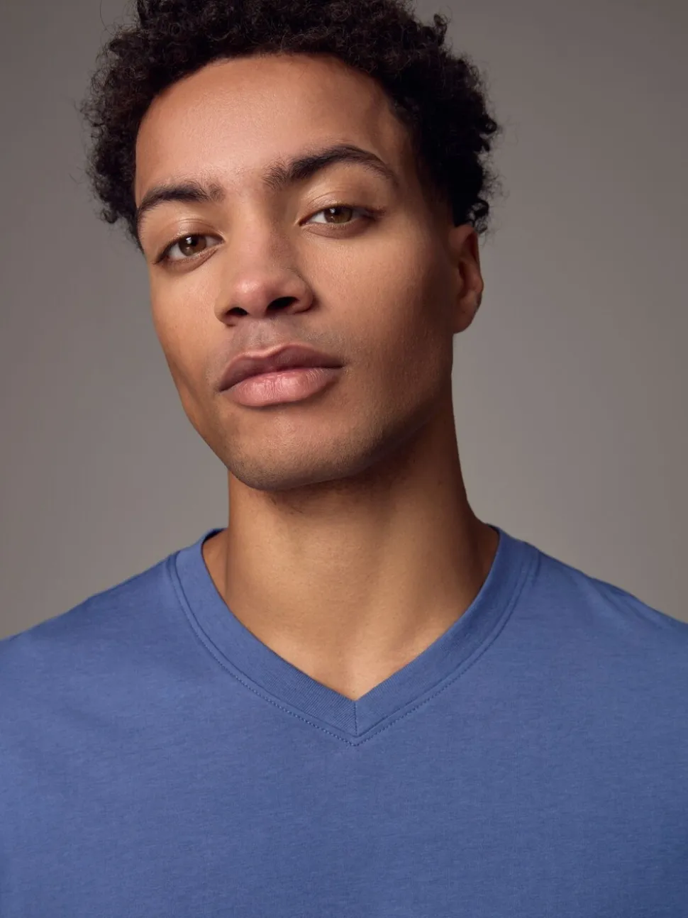 Blue Regular Fit Essential V-Neck T-Shirt