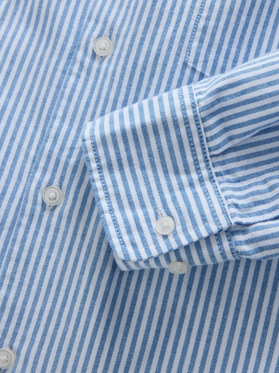 Blue Regular Fit Stripe Oxford Long Sleeve Shirt