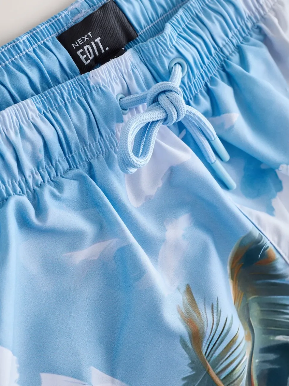 Blue/Green EDIT Tropical Scenic Print Swim Shorts