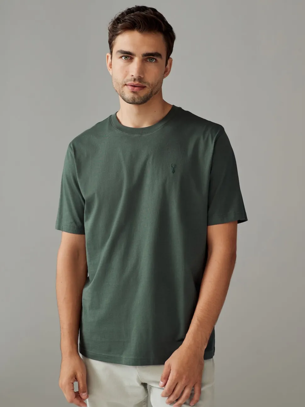 Blue/Green/Neutral/Brown Regular Fit T-Shirts 4 Pack