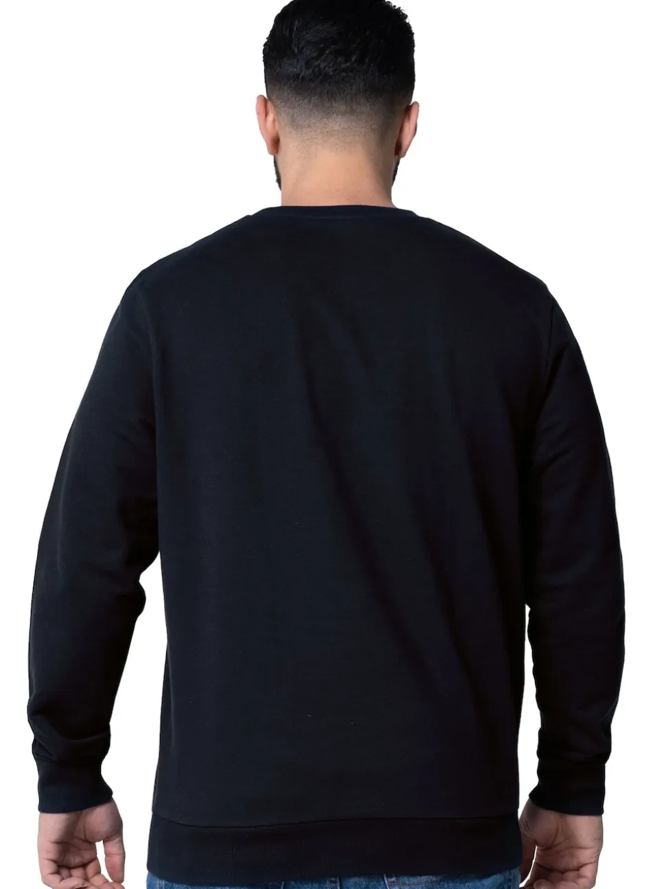 Bluey Blue Character Mens Bandit Sweatshirt