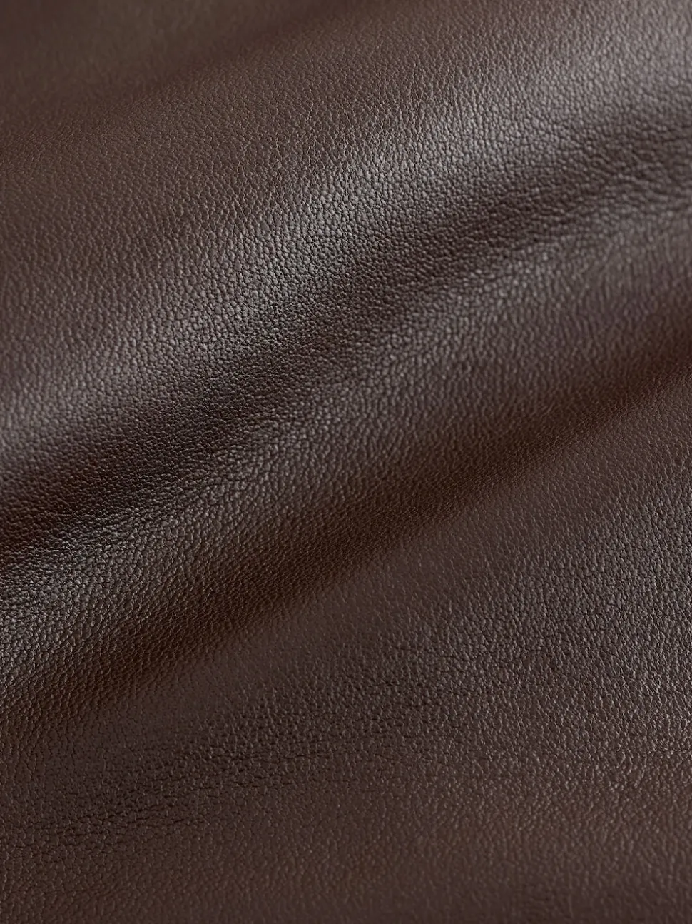 Brown Signature Leather Collared Jacket