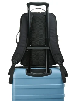 Cabin Max Black Santa Cruz Backpack