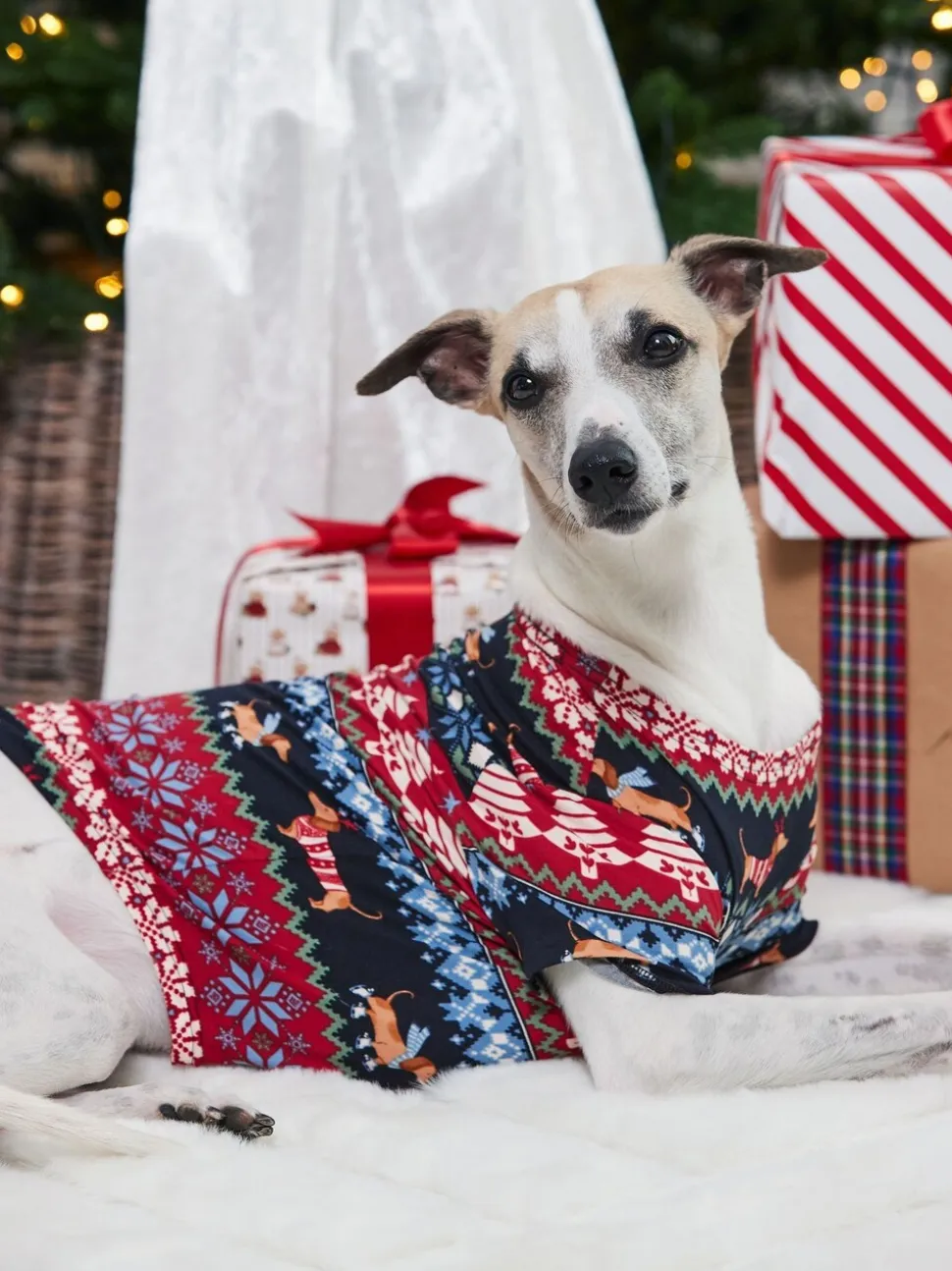 Chelsea Peers Blue Pet Christmas Dog Fair Isle Print Pyjama T-Shirt
