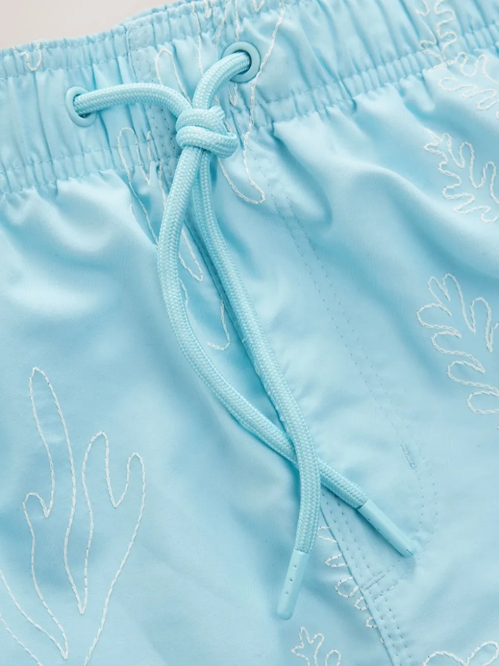 Light Blue Embroidered Swim Shorts