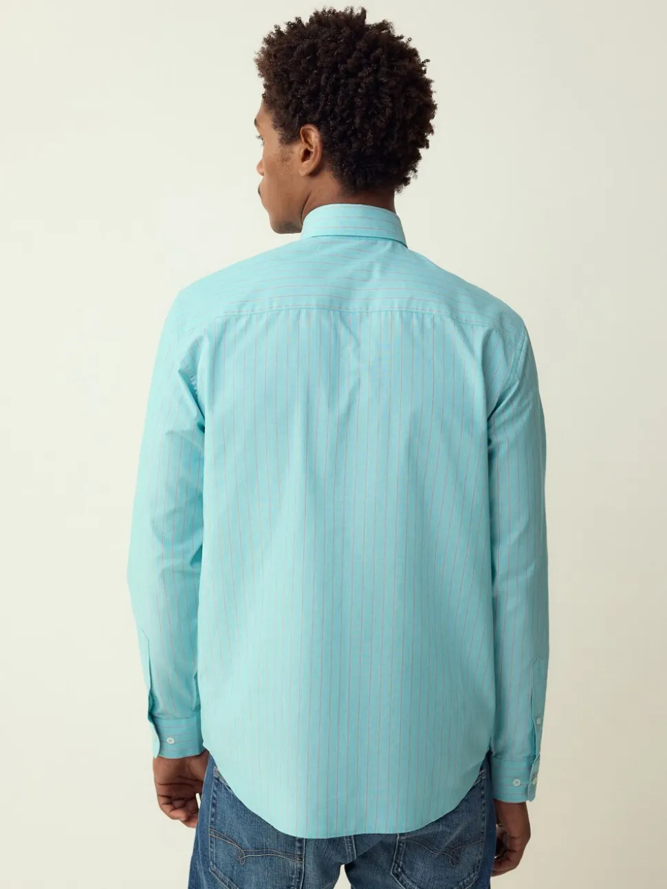 Mint Green Stripe Regular Fit Easy Iron Button Down Oxford Shirt