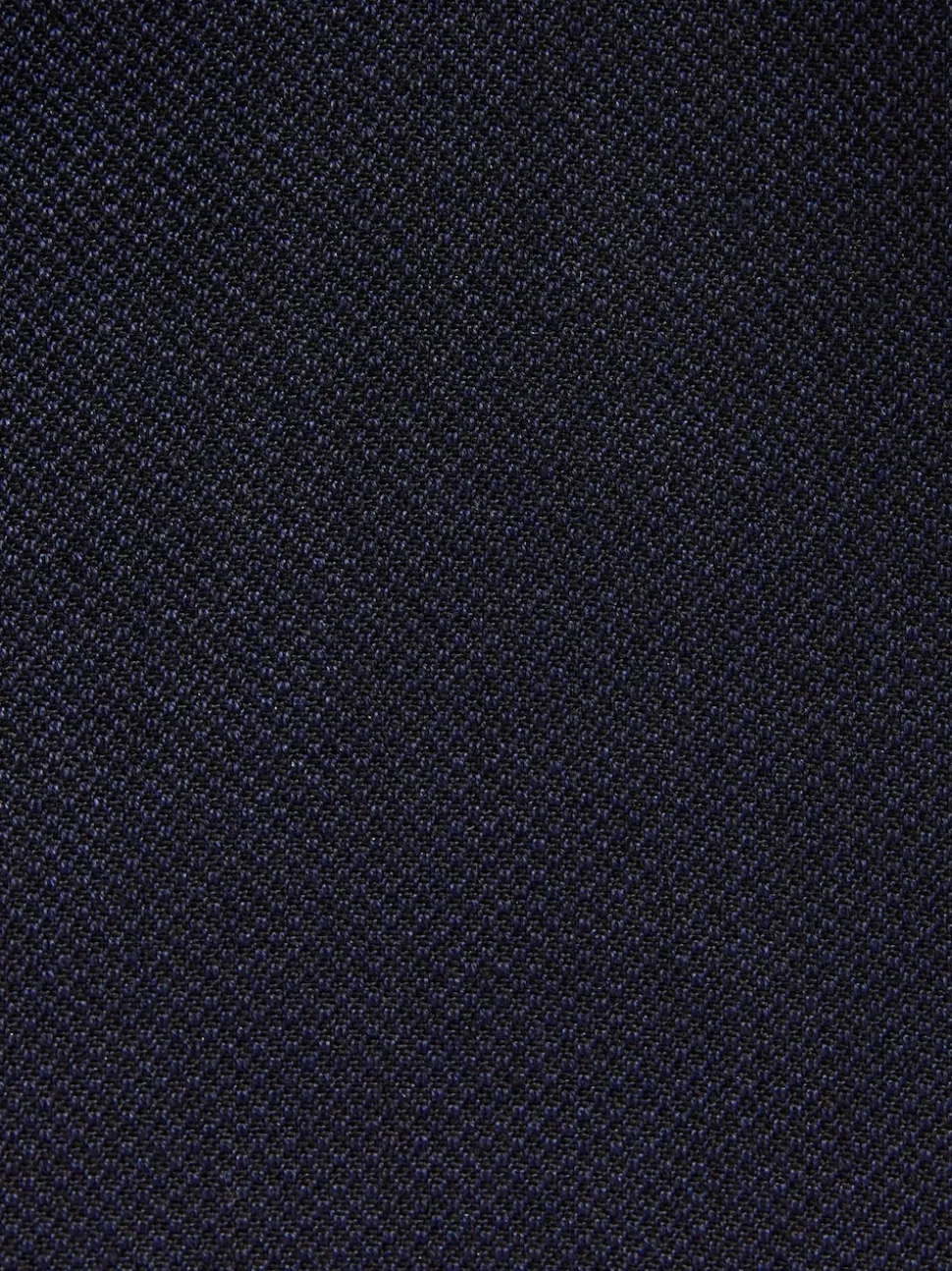 Navy Blue Regular Fit Textured Suit Jacket