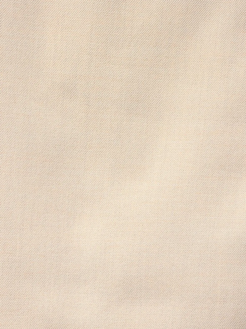 Neutral Slim Fit Flannel Suit Jacket