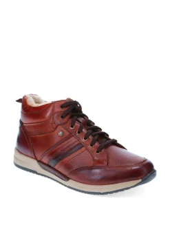 Pavers Brown Lace-Up Leather Ankle Boots