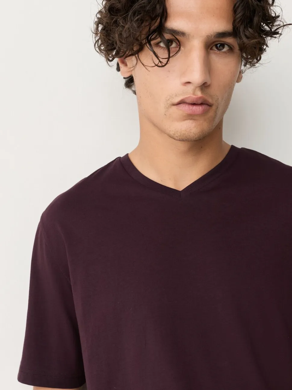 Purple Regular Fit Essential V-Neck T-Shirt
