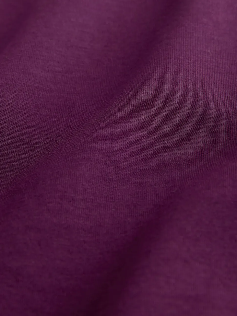 Purple Regular Fit Signature SUPIMA® Cotton Crew Neck T-Shirt