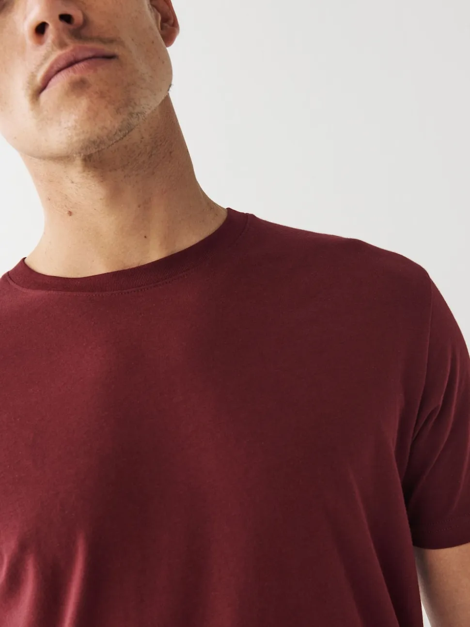 Red Burgundy Regular Fit Essential Crew Neck Cotton T-Shirt