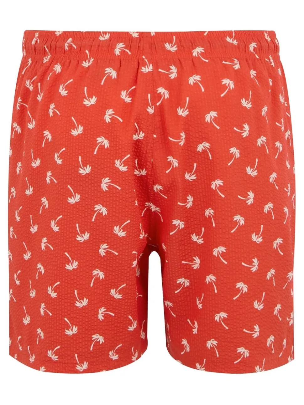 Regatta Red Mens Loras Swim Shorts