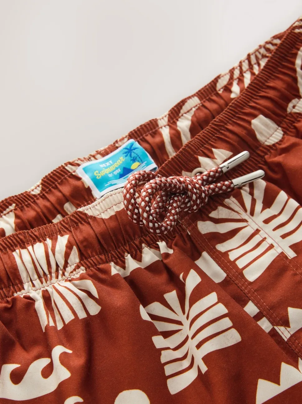Rust Red Printed Swim Shorts