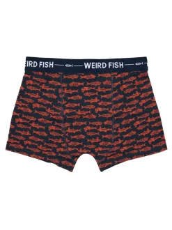 Weird Fish Blue Ashridge Boxer Shorts 3 Pack